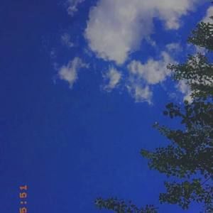 Meet your Posher, Zoey